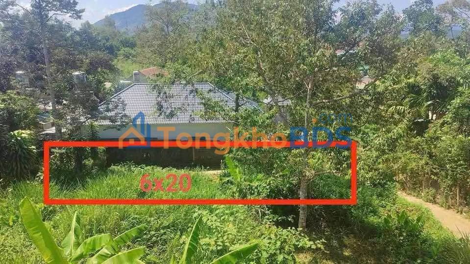 Bán Gấp Đất Trung Tâm Bảo Lộc 118m² - Sổ Hồng Sẵn, Giá Ngộp 595 Triệu