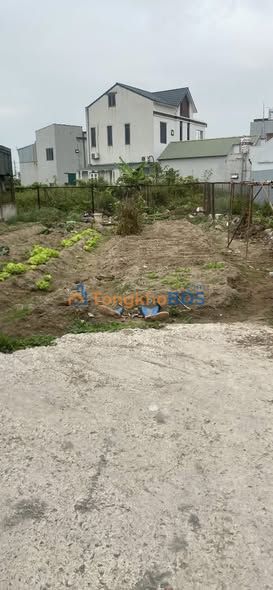 Đất Nền Liễu Tràng - Tân Hưng, Hải Dương: 101.5m², Sổ Đỏ Full Thổ Cư, Giá Đầu Tư 1.5 Tỷ