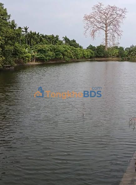 Đất Vườn Hưng Yên 2270m² Giá Tốt - Sổ Đỏ Sẵn Sàng