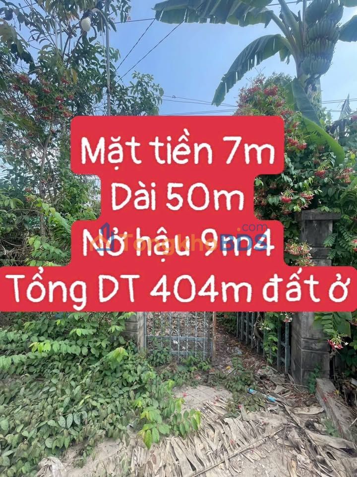 Đất Vĩnh Hậu An Giang 404m² - Sổ đỏ chính chủ, gần Cần Thơ