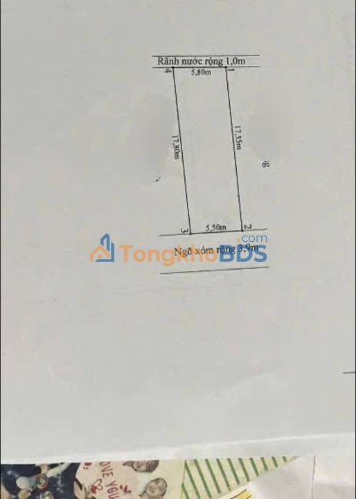 Đất nền Gia Phong Tân Hưng 99m² - Sổ đỏ sẵn, đầu tư sinh lời