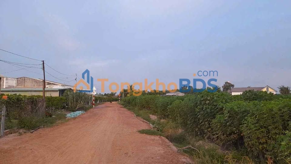 Bán Đất Phước Ninh Dĩ An 60m² - Sổ Thổ Cư, Giá Đầu Tư 2xx Triệu