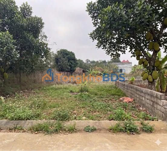 Bán Gấp Đất Nền Chương Mỹ 80m² - Sổ Đỏ Sẵn Sàng, Kinh Doanh Dòng Tiền