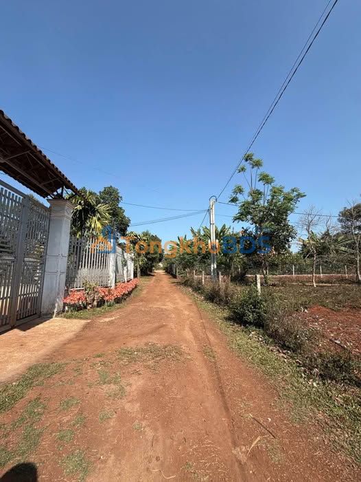 Đất nền Làng Bùi, Pleiku 527m² - Sổ sẵn, giá chỉ 3xx triệu/lô