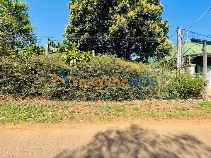 Bán Gấp 2 Lô Liền Kề Mặt Tiền An Dương Vương, Vĩnh Long - 225m² Giá Tốt