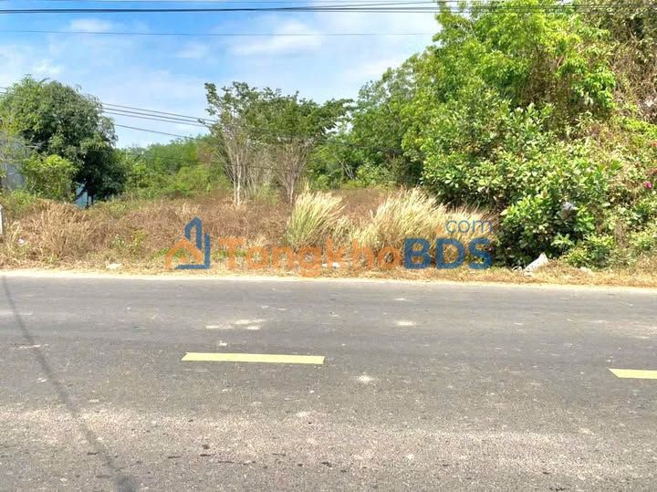 Đất nền mặt tiền đường nhựa 3959.7m² - Xã Hòa Hội, Châu Thành, Tây Ninh - Giá 3.05 tỷ