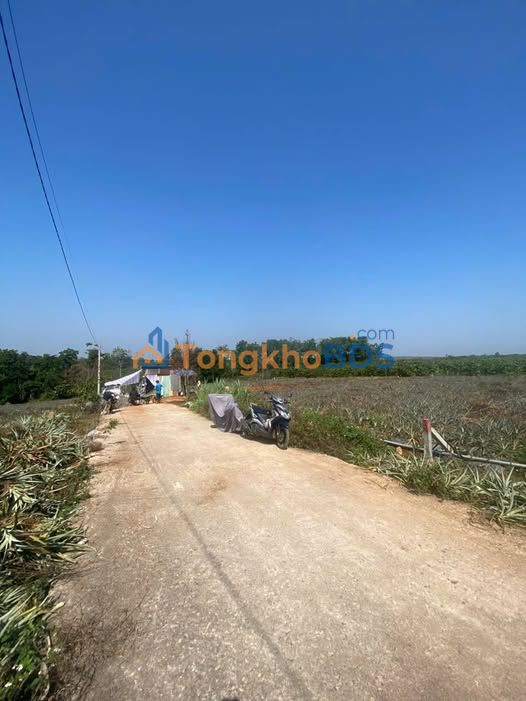 Đất 2 Mặt Tiền Diên Hồng, Pleiku - 160m² Sổ Đỏ Giá Tốt