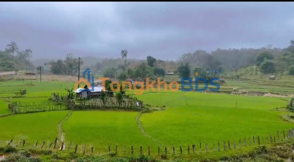 Đất Nền Xã Hiếu, Bình Thuận - 4300m² View Đồng Lúa, Giá Đầu Tư 2.x Tỷ