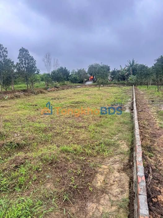 Đất Nền Phong Điền - 500m² Giá 499 Triệu - Sổ Đỏ Sẵn Sàng