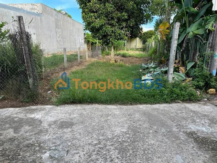 Đất Nền 193m² Đường Ô Tô Thông, Gần Hồ Quý Ly - Quảng Ngãi