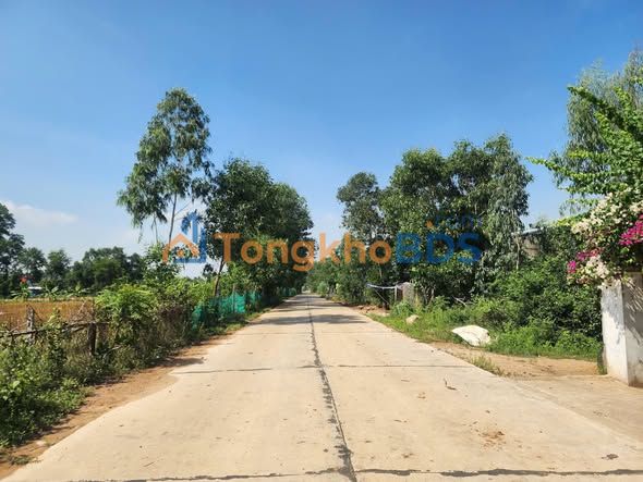 Bán Đất Mặt Tiền Cát Chánh, Phù Cát - 140m² Thổ Cư, Sẵn Sổ Hồng