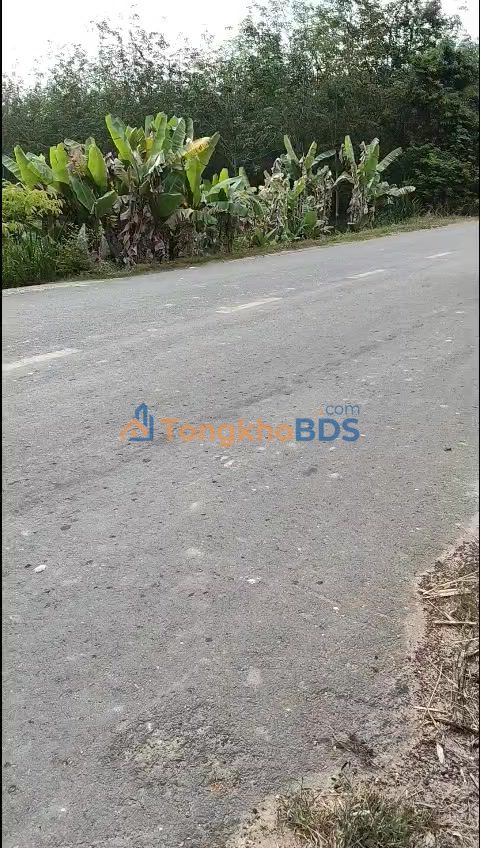 Đất Nền Mặt Tiền Đường 788, Châu Thành, Tây Ninh - 1290m² - Giá Đầu Tư 2026-2029