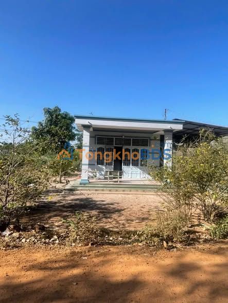 Bán Gấp Đất Vàng Xã Trà Vong, Tân Biên: 9100m² Thổ Cư, Mặt Tiền Đường Đỏ - Chỉ 500 Triệu