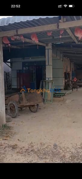 Đất Vàng Tây Ninh: 1950m² Mặt Tiền Ấp Hoà Đông A, Châu Thành - Giá Đầu Tư F0