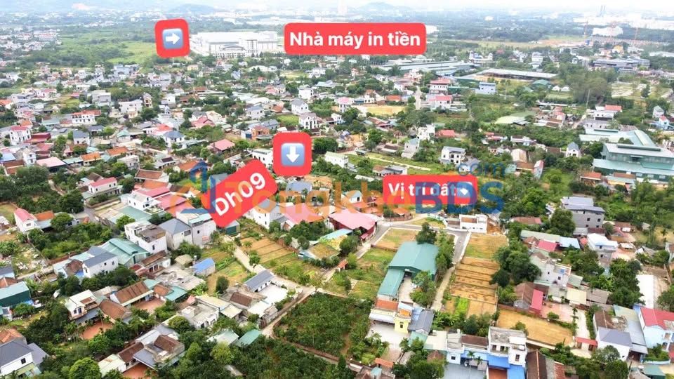 Đất Thổ Cư 120m² Phú Cát, Quốc Oai - Sổ Sẵn, Ô Tô Tới Đất