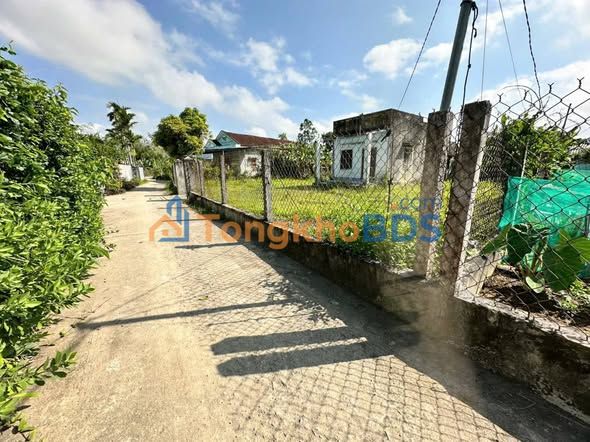 Bán Nhanh 4 Lô Đất Thổ Cư 145m²/lô Tại Phù Cát, Bình Định - Giá Tốt