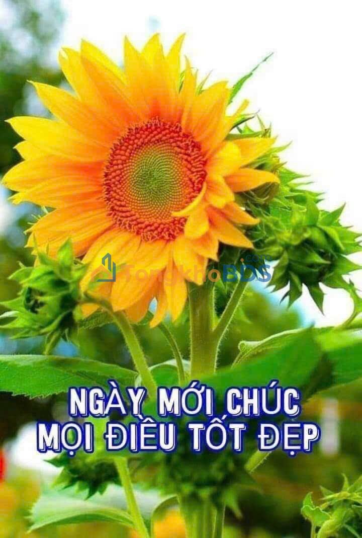 Bán đất 2 mặt tiền Phước Hạ, Nha Trang 96.7m² giá 1.3 tỷ - Sổ đỏ sẵn sàng