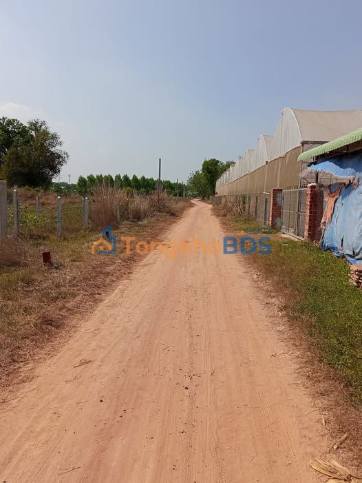 Bán Đất Mặt Tiền Tân Biên, Tây Ninh - 50m² Thổ Cư, Giá Chỉ 169 Triệu