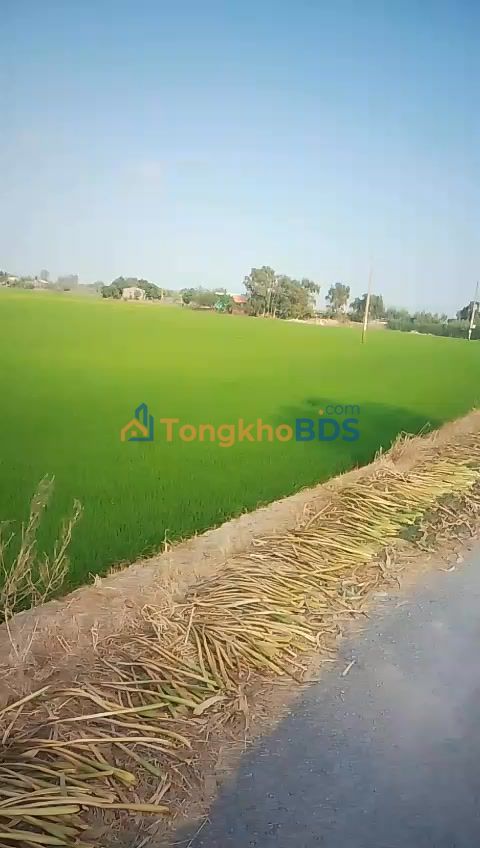 Bán Đất Vườn Long An 10.000m² - Giá Đầu Tư 2.5 Tỷ