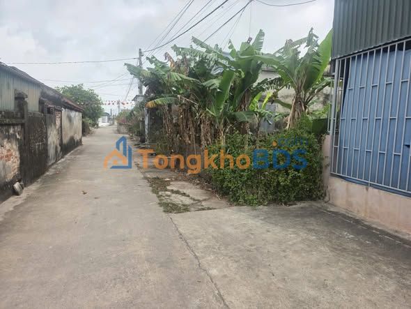 Đất thổ cư 110m² Tiền Hải, Thái Bình - Sẵn sổ, ô tô vào tận nơi