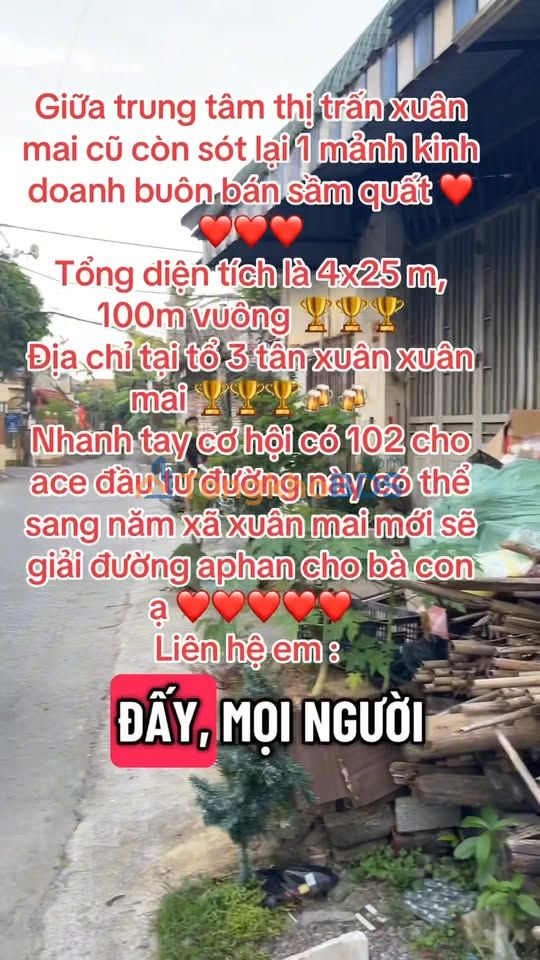 Đất Nền Kinh Doanh Trục Chính Tân Xuân 100m² - Giá 2.1 Tỷ