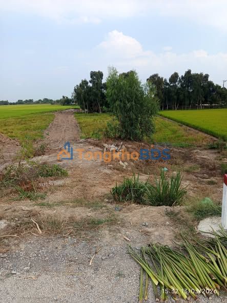 Bán Đất Vườn 10.000m² Xuyên Mộc, Bà Rịa - Vũng Tàu - Sổ Hồng Sẵn Sàng