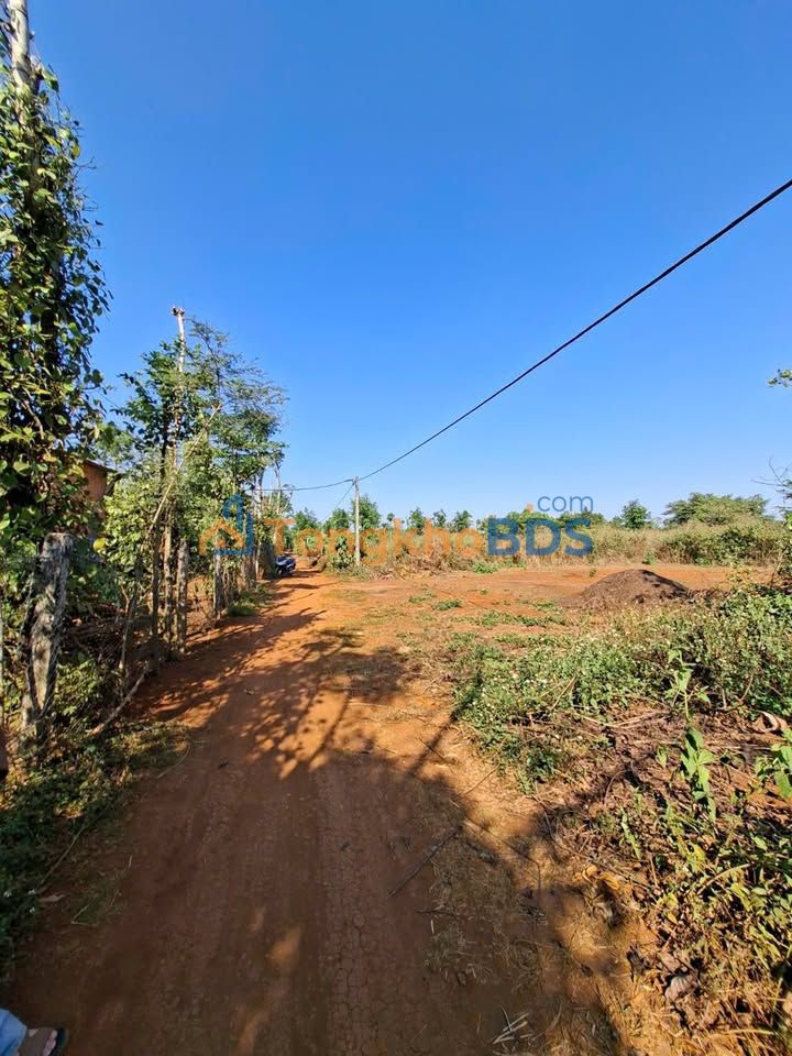 Đất Nền Buôn Ma Thuột 1008m² - Sổ Đỏ Chính Chủ Gần KCN Tân An