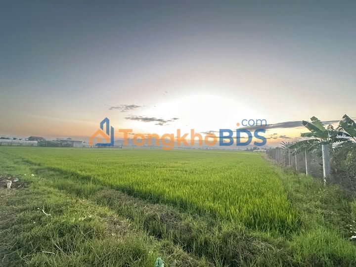 Bán Đất Ninh Thuận 12240m² - Sổ Sẵn Sẵn Sàng Xây Dựng