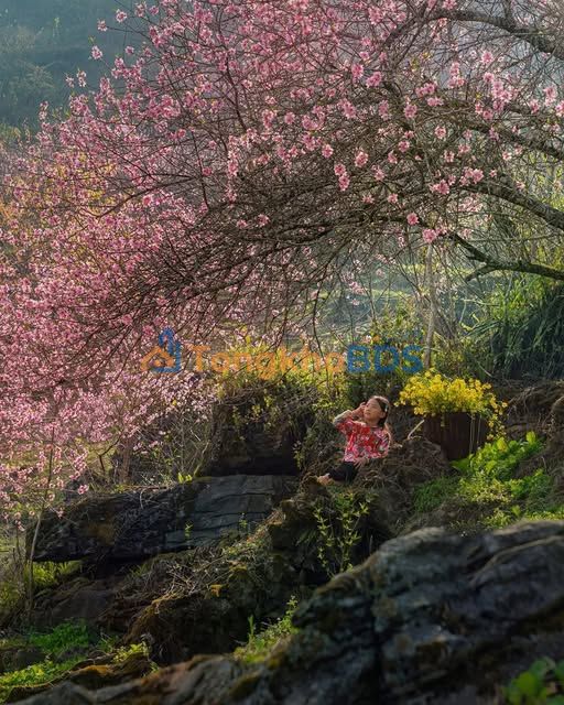 Căn hộ 1PN Royal City 55m² - Sẵn Sàng Vào Ở Ngay!