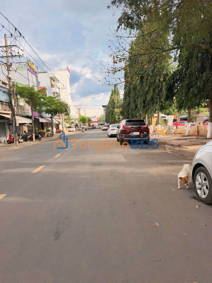 Nhà Mặt Tiền Kinh Doanh Ngô Gia Tự, BMT - 107m², Giá 7.9 Tỷ