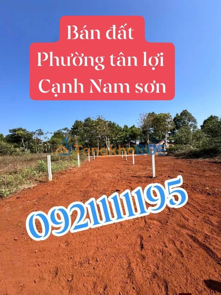 Đất Vàng Nguyễn Hữu Thấu Nối Dài 147m² - Sổ Riêng, Giá Tốt