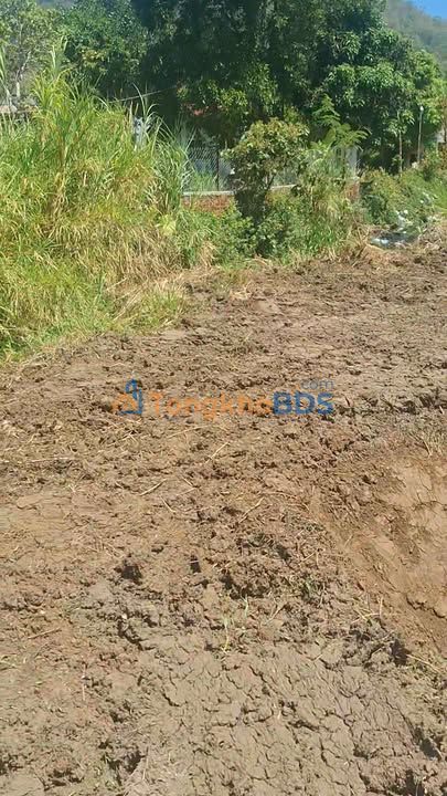 Đất nền Phường 1, Tuy Hòa 360m² - View Suối Hồ, Dân Cư Đông Đúc - Giá 1.45 Tỷ