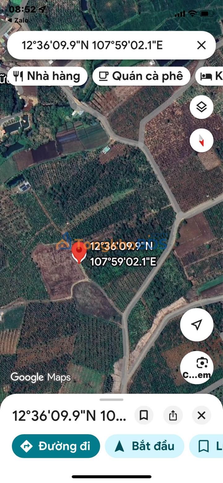 Bán Gấp Đất Nền 360m² Đắk Lắk - Giá Rẻ 450 Triệu