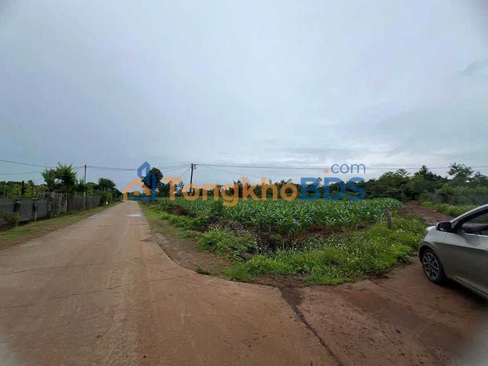 Đất 2 Mặt Tiền Ea Nuôl, Buôn Đôn - 2700m² Thổ Cư - Giá Đầu Tư 2.85 Tỷ