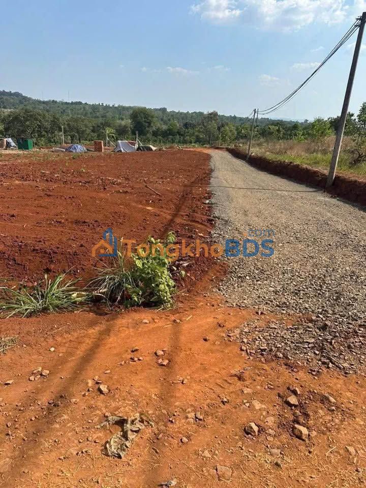 Bán Đất Vị Trí Vàng Phường Thành Nhất, Buôn Ma Thuột - 140m²