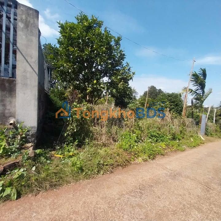 Bán Đất Nông Nghiệp Buôn Ma Thuột 160m² - Sổ Chung Giá Tốt