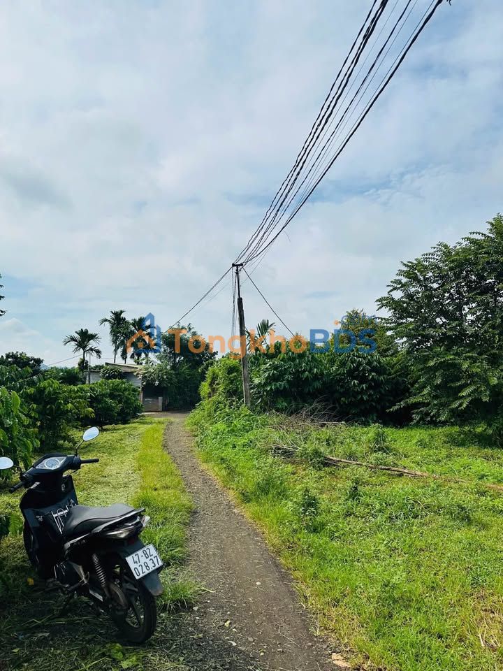 Bán Gấp Đất Vườn 518m² Hẻm Tố Hữu - Phú Yên, Giá Chỉ 580 Triệu