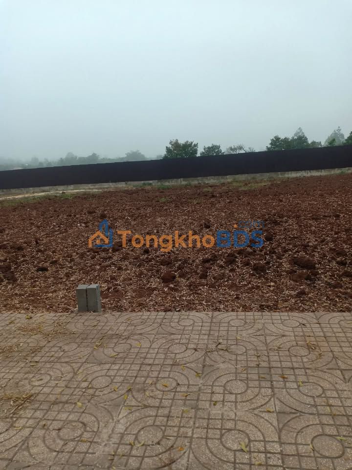 Đất Phước Trạch 1, BMT - 185m² Thổ Cư Full - Giá Chỉ 6xx Triệu