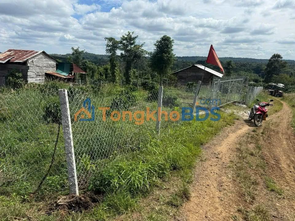 Bán 5 Sào Đất Trồng Cà Phê Dak Ken, Krông Búk - Sẵn Sàng Khai Thác