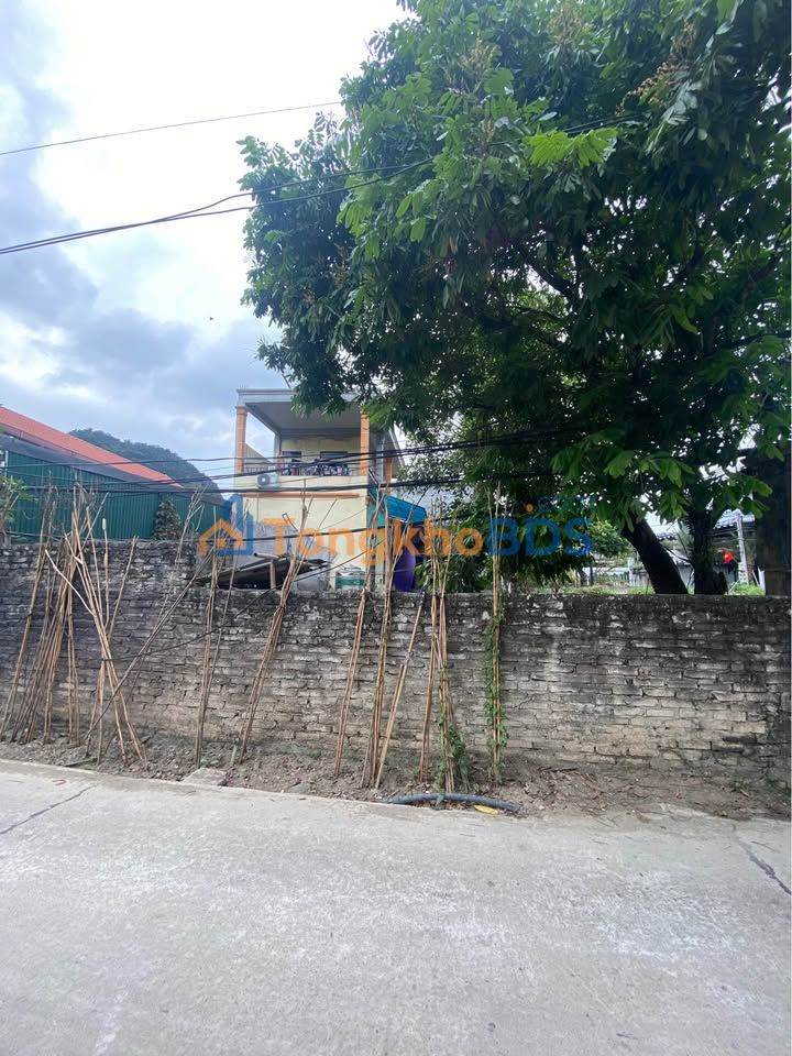 Đất Vàng Ninh Xuân 90m² - Kế Hang Múa, Kinh Doanh Sinh Lời