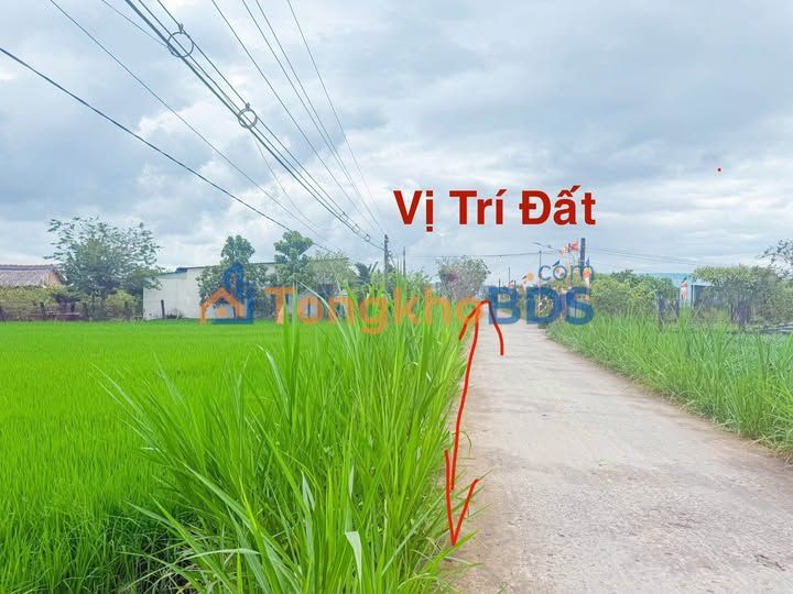 Đất nền 165m² MT Nguyễn Văn Thọ, Bến Lức - Sổ hồng thổ cư 100% giá 590 triệu