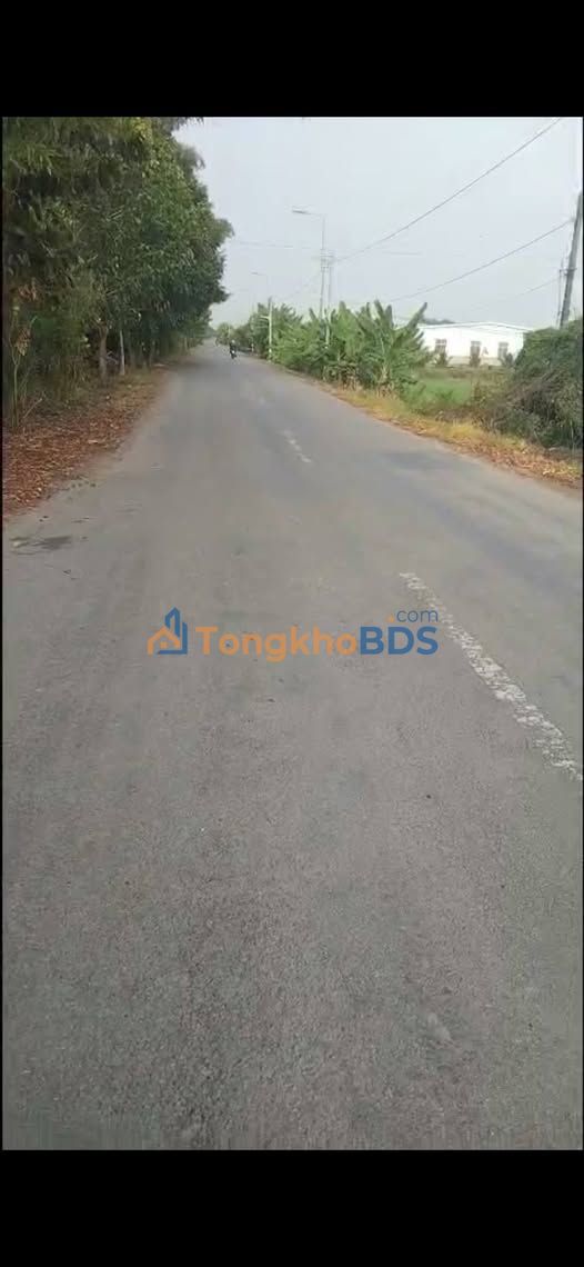 Bán Gấp Đất Vườn Tân Biên, Tây Ninh 16.633m² - Sẵn Sàng Lên Vườn, Kho Bãi