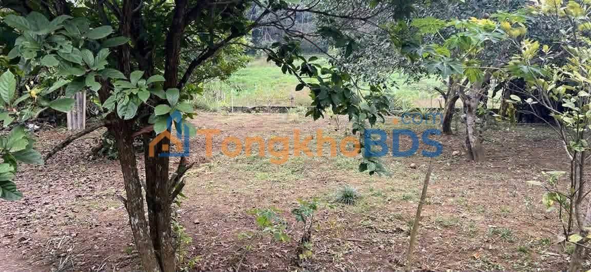 Đất nền Yên Bái 1420m² giá 2.x tỷ - Sẵn sổ đỏ, tiềm năng đầu tư