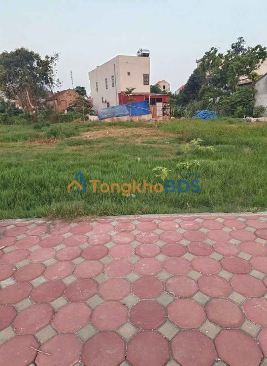 Đất đấu giá Thôn Trãi, Thường Tín 130.5m² - Sổ đỏ sẵn sàng