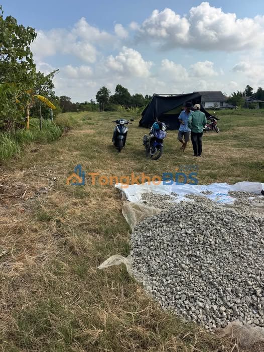 Đất Vườn 1000m² Sổ Hồng Riêng - Giá 250 Triệu Tại Tân Phú Đông, Tiền Giang