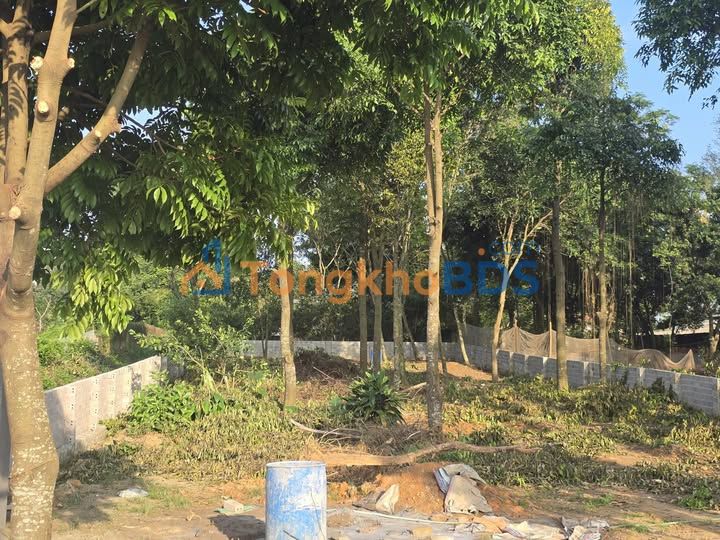 Bán gấp đất Xuân Tảo 512m², mặt tiền 10m, gần Trung tâm 01-02