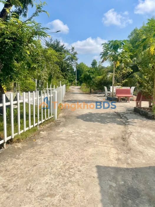 Đất nền An Xuyên Cà Mau 332.5m² sổ hồng - Giá 460 triệu