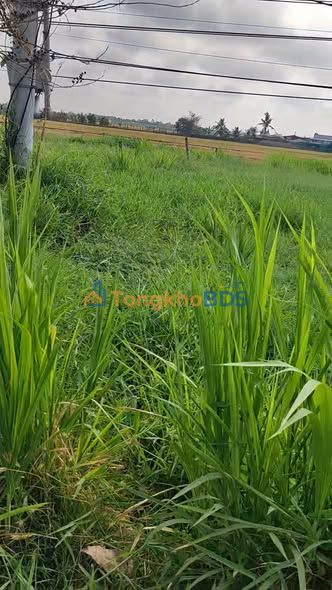 Đất Nền Mặt Tiền TL 872b Tiền Giang - 628m² - 1.4 Tỷ Bao Sổ