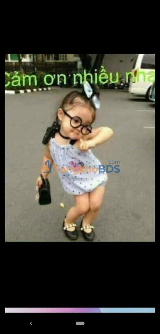 Bán gấp 4100m² đất trồng Chà Là 3 năm tuổi - Đồng Tháp