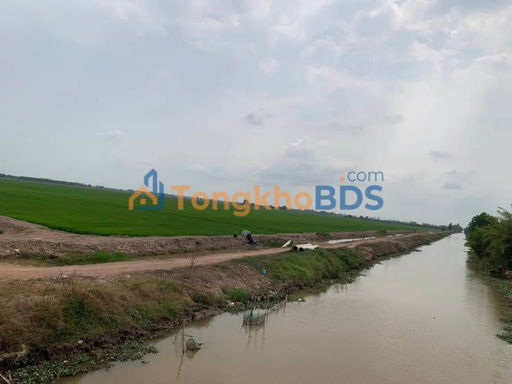 Đất lúa 640.000m² mặt tiền kênh lớn, Kiên Lương - Giá đầu tư 1xx triệu/công
